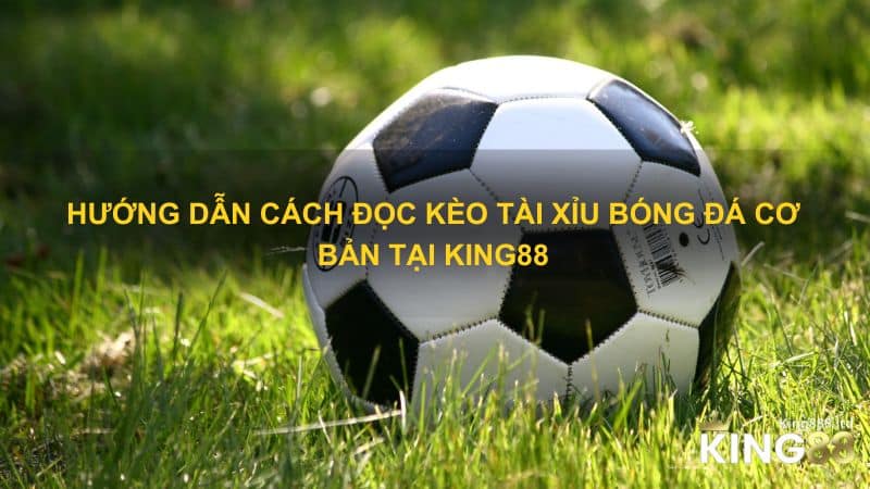 Hướng dẫn cách đọc kèo Tài xỉu bóng đá cơ bản