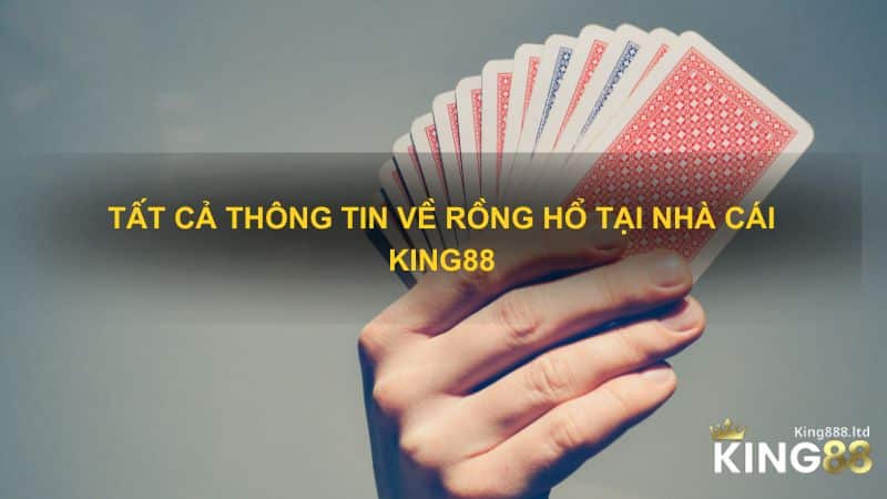 Tất cả thông tin về rồng hổ tại nhà cái King88